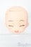 画像1: 【SALE】ねんどろいどどーる/かすたむヘッド I-24-12-22-1118-TO-ZI (1)