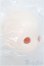 画像2: 【SALE】PUYOODOLL/Kumako EGG-01ヘッド I-24-12-22-1044-TO-ZI (2)