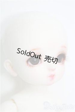 画像3: 幼SD/Lulu I-24-12-22-1002-TO-ZI