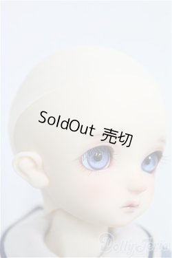 画像3: SDM/コーディネートモデル:F-60 I-24-12-29-1002-TO-ZI