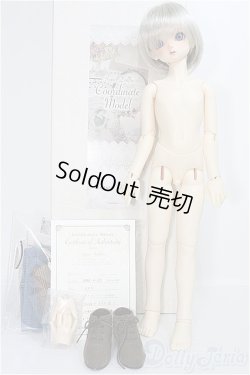 画像7: SDM/コーディネートモデル:F-60 I-24-12-29-1002-TO-ZI