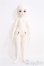 画像4: Gem of Doll/Yoly I-25-01-12-1004-TO-ZI