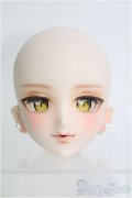 【SALE】DD/DDH-07カスタムヘッド I-25-01-19-1029-TO-ZI