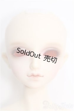 画像1: 【SALE】SDMBOY/フルチョイス：F-35 I-25-02-02-1003-TO-ZI
