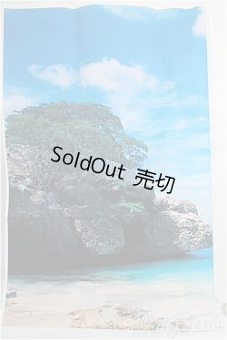 画像1: SD/背景布 I-25-02-16-2129-YB-ZI