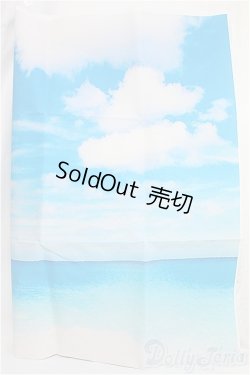 画像2: SD/背景布 I-25-02-16-2129-YB-ZI