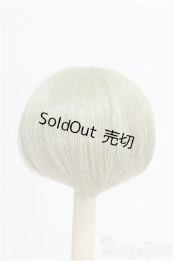 画像2: 8-9inch/ウィッグ I-25-03-02-2023-TO-ZI