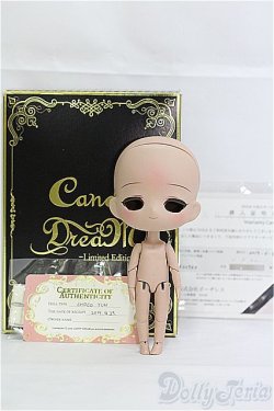 画像3: CandyDreamDOLL/CHOCO YUN:GIRL I-25-03-16-1017-YB-ZI