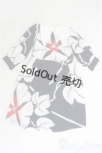 SDM＆MSD/OF:ワンピース I-25-04-13-3051-TO-ZI