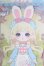 画像1: IMONTOYS LIRORO(リロロ)/童話の家シリーズ 不思議の国のアリス I-25-05-25-1040-TO-ZI (1)