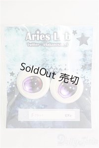 21mm/アニメアイ I-25-03-30-2009-YB-ZI