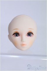 パラボックス/ヘッド I-25-03-16-1073-TO-ZI