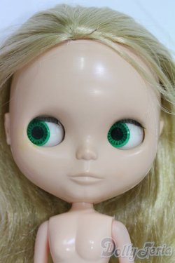 画像4: ネオブライス/モンドリアン(ツヤ肌) I-25-04-27-1011-TO-ZI