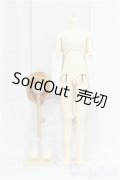 SDGrB [13 Revival]ボディセット I-25-03-30-1004-YB-ZI