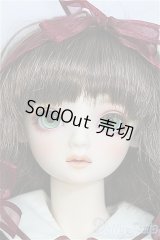 SD/アダプションモデル:ニコ I-25-03-30-1002-YB-ZI