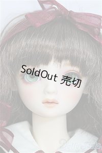 SD/アダプションモデル:ニコ I-25-03-30-1002-YB-ZI