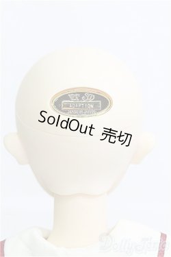 画像4: SD/アダプションモデル:ニコ I-25-03-30-1002-YB-ZI