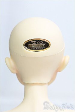 画像5: SDB/ミシェル 星間学寮Ver. ドルパ47/BJD　球体関節人形 I-25-10-12-407-YB-ZI