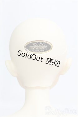 画像5: SDB/ミシェル 星間学寮Ver. ドルパ47 I-26-02-22-299-YB-ZI