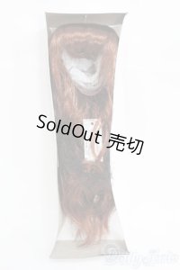 SDGrB/ウィリアムズデフォルトウィッグ(ボークス)The Diligent Scholar I-25-04-20-1053-YB-ZI
