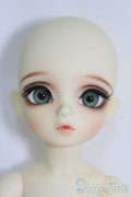 BJD CROBI/Boni I-25-05-25-1006-TN-ZI