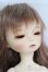 画像2: the SOOM/imda3.0 Modigli I-25-05-04-1009-TO-ZI (2)