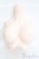 画像1: DDS/DDS-B-02-SW(上半身パーツ・L胸) I-25-04-20-1040-TO-ZI (1)