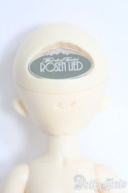 画像4: ROSEN LIED/Monday's Child BASIC MELON I-25-04-20-1005-YB-ZI