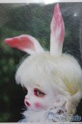 Tokissi/follow the white rabbit (Basic ver.)ホワイト ラビット I-25-04-20-1008-YB-ZI