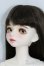 画像3: Myou Doll/Zuzana:文学少女 Literature Limited I-25-05-11-1006-TO-ZI