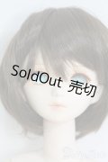 PARABOX/ヘンゼル カスタムベーシックモデル I-25-05-04-1004-TO-ZI