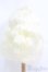 画像3: 8-9inch/ウィッグ I-25-05-11-3048-YB-ZI (3)