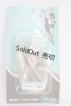 画像1: 1/6ドルフィー/カスタムヘアーヘッド：20ｃｍヘッド(ボークス製) I-25-05-04-1062-TO-ZI