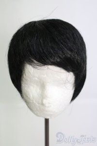 8-9inch/ウィッグ I-25-05-25-3041-TO-ZI