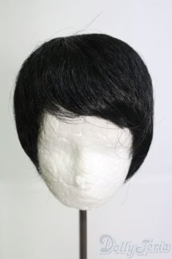 画像1: 8-9inch/ウィッグ I-25-05-25-3041-TO-ZI