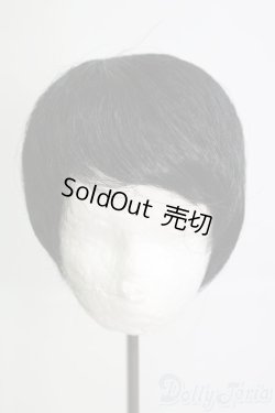 画像1: 8-9inch/ウィッグ I-25-05-25-3041-TO-ZI