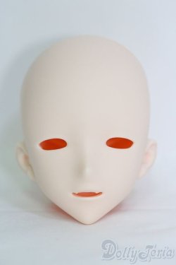 画像1: IMOMODOLL/Canis-B Head I-25-05-18-1045-TO-ZI