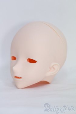 画像3: IMOMODOLL/Canis-B Head I-25-05-18-1045-TO-ZI