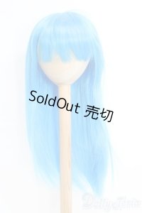 8-9inch/ウィッグ I-25-06-01-2032-TO-ZI