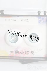 18mm/レジンアイ(DOLK SELECT) I-25-06-29-2021-YB-ZI