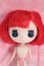 画像1: ドルチェナ/ハワイアンハーモニーズ I-25-05-25-1043-TO-ZI (1)