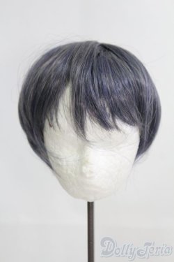 画像1: 8-9inch/ウィッグ I-25-06-29-2042-TO-ZI