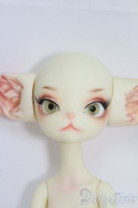 Dollzone/Miss Kitty I-25-05-25-1005-TO-ZI
