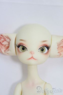 画像1: Dollzone/Miss Kitty I-25-05-25-1005-TO-ZI