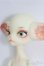 画像3: Dollzone/Miss Kitty I-25-05-25-1005-TO-ZI