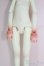 画像6: Dollzone/Miss Kitty I-25-05-25-1005-TO-ZI