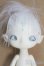 画像1: Island Doll/Shuo：Shadow Island I-25-05-25-1009-TO-ZI (1)