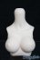 画像1: MDD/上半身パーツ MDD3-B-03L-SW I-25-06-01-1054-YB-ZI (1)
