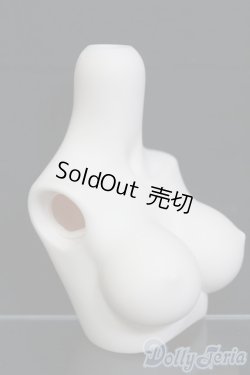 画像2: MDD/上半身パーツ MDD3-B-03L-SW I-25-06-01-1054-YB-ZI