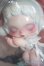 画像1: SKULLPANDA/Aisling フィギュア I-25-06-01-1033-TO-ZI (1)